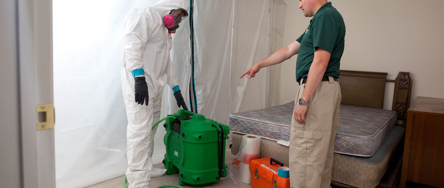 Lennox, CA mold removal process